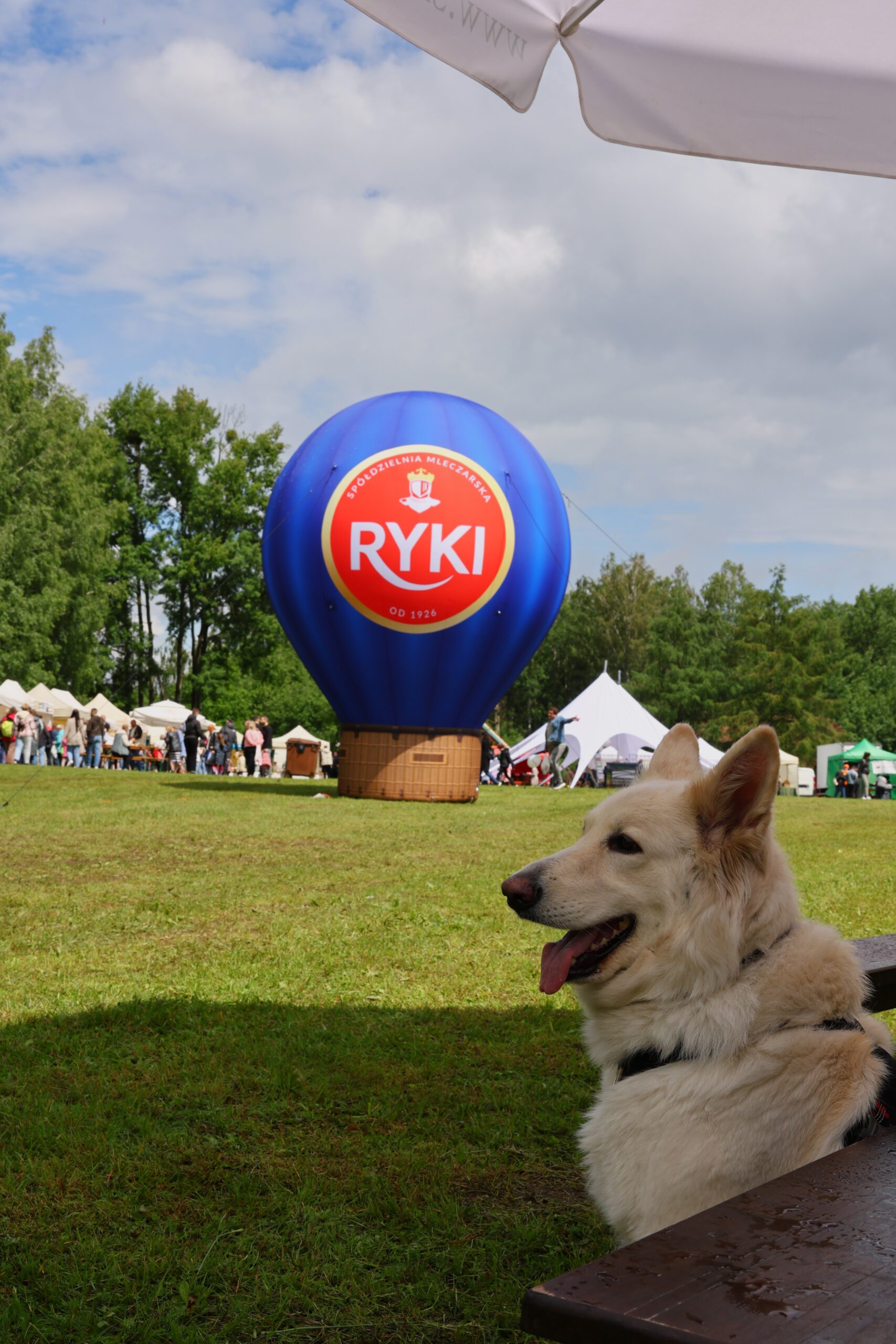 SM Ryki na Podlaskim Święcie Sera – 100 lat tradycji i nowy wiek smaku